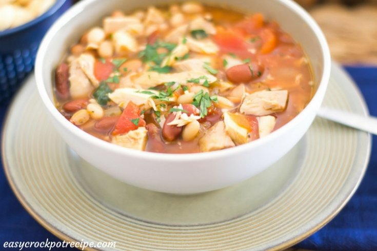 Easy Crock Pot Turkey Soup Recipe